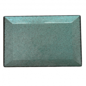 MINT6077